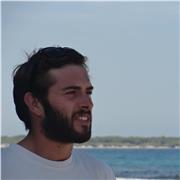 Bilingual English tutor with 12 years experience in multicultural environments